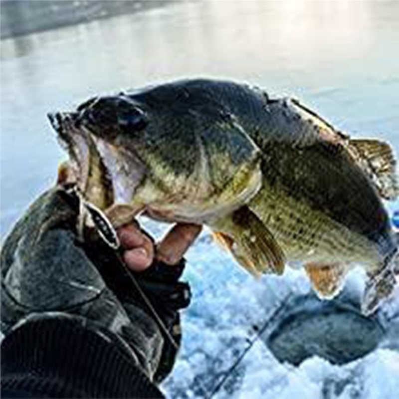 Fish Finder Kayak Portable - ABLB-Sonda de Pesca para Kayak, Transductor